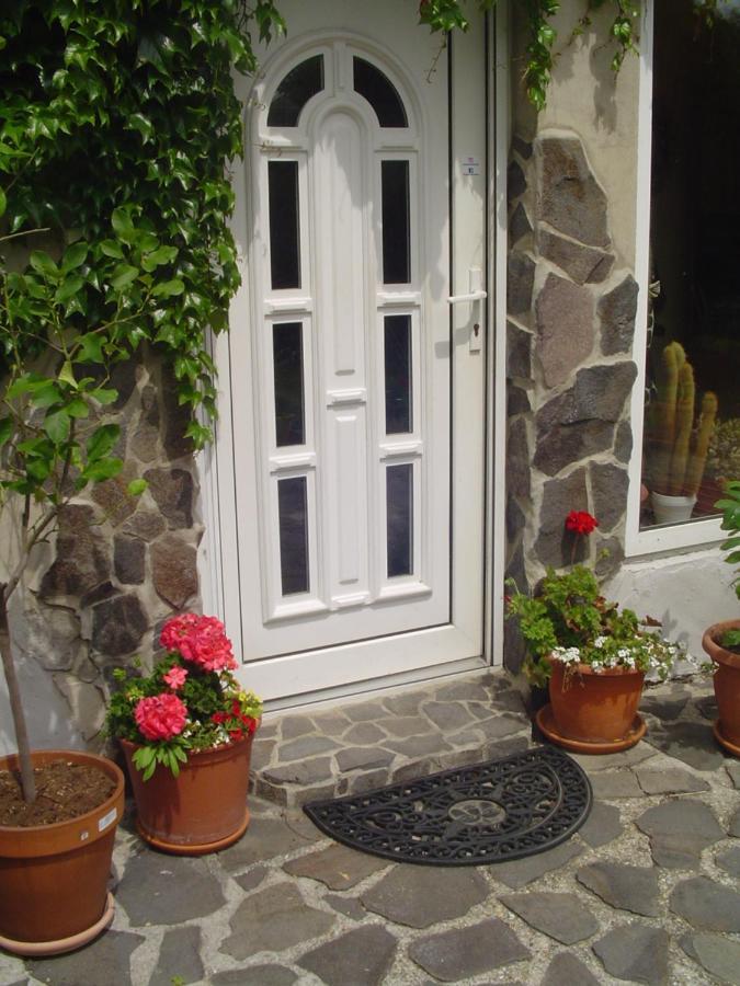Villa Ametyst Štúrovo Eksteriør billede